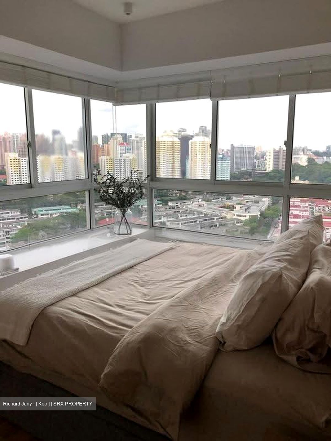 The Regency At Tiong Bahru (D3), Condominium #630457891